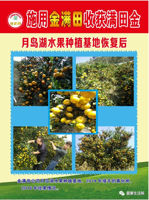 是什么讓這個(gè)基地碩果累累？鹿寨柑橘大咖現(xiàn)場授課，誠邀您來參加
